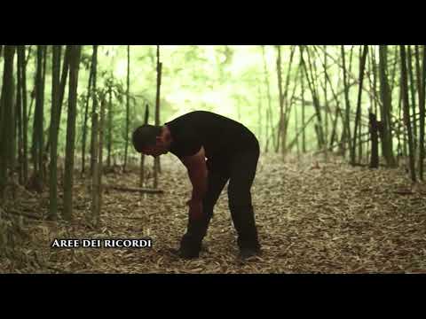 Sequenza nuovo video