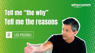 Tell me «the why», tell me the reason (5 of 22)