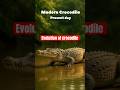 Evolution of modern crocodiles! 🐊! 300 million years in 30 seconds!