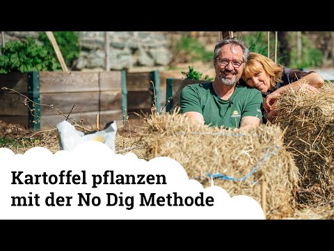 , title : 'Wir pflanzen Kartoffeln mit der No-Dig-Heumethode 😍🌱'