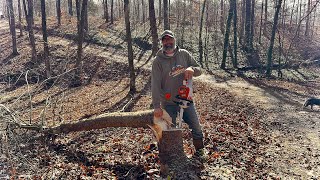 Episode 126 - You Won’t Believe What This Stihl Chainsaw Can Do - DIY Land Clearing