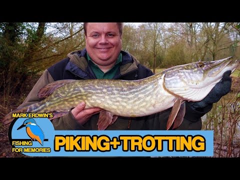 Pike fishing and a spot of winter trotting (Video 79)