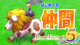 【RF5】料理を作って野生モンスターを仲間に!!【ルーンファクトリー5】part7