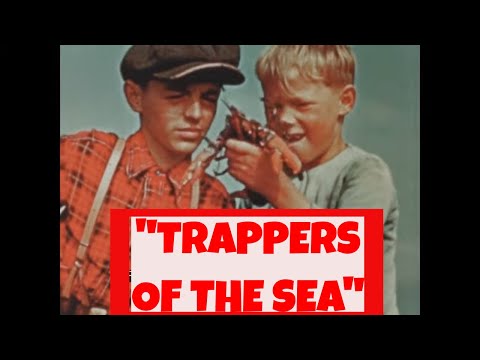 "TRAPPERS OF THE SEA" 1945 L'INDUSTRIA DELLA PESCA DELL'ARAGOSTA IN NUOVA SCOZIA DOCUMENTARIO PER...