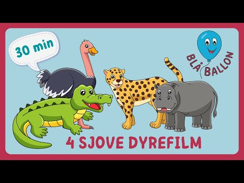 30 MINUTTER: Fire sjove dyrefilm. Struds. Krokodille. Flodhest. Gepard