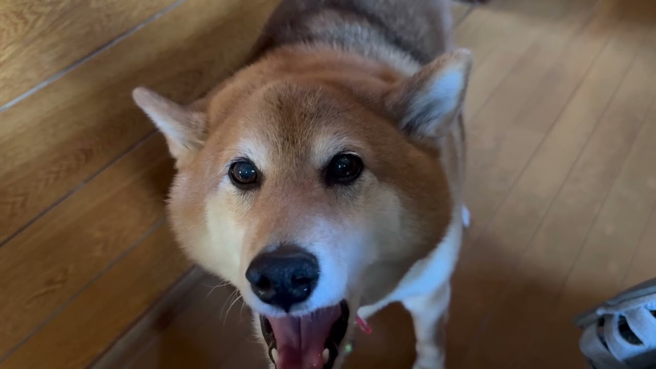 【再会】再会の瞬間