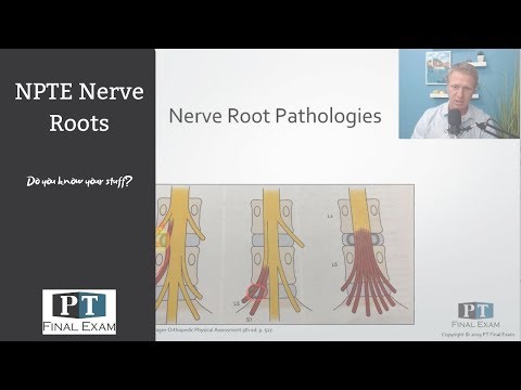 Spinal Pathologies and Discs on the NPTE