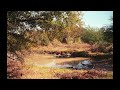 Secret‎ Teardrops‎ (cover)