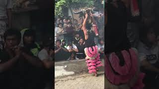 Download lagu Banteng Suro ngamuk Lo, penonton cantik tidak sadar diri #jaranan #ndadi #bantengan mp3 Download lagu Banteng Suro ngamuk Lo, penonton cantik tidak sadar diri #jaranan #ndadi #bantengan mp3