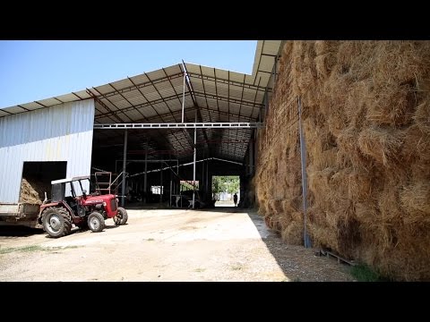 AGROBIZNIS - stočarstvo, Đoni Besnik (Ulcinj)