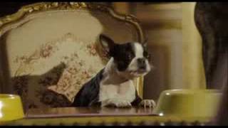 Palace pour chiens Film Trailer