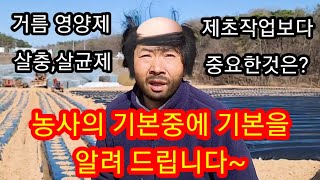 농사 초짜들이 하는 가장큰 실수~농작물을 심고 가장 중요한것은? 귀농,귀촌,주말농장,텃밭 하시는 초보 모이세…
