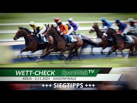 Wett-Check - Köln 2.11.2025