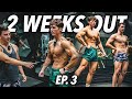 2 WEEKS OUT MEN'S PHYSIQUE | Posing Coaching & Back Workout