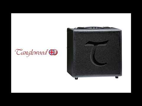 Tanglewood T6 Twin Channel 60w 1x10" Acoustic Combo Amplifier - Black image 9