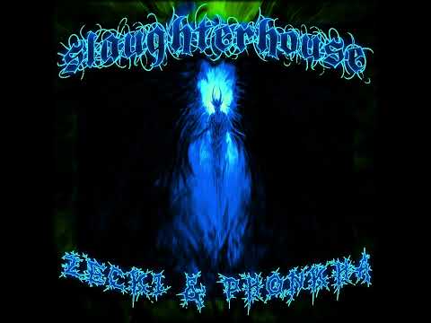 Phonkha x zecki "SLAUGHTER HOUSE (Slowed)"