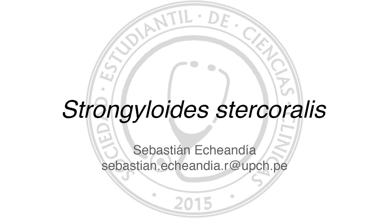 Strongyloides stercoralis