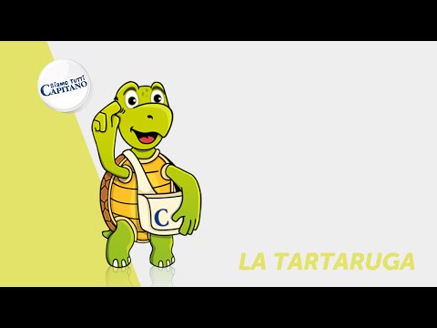 Siamo tutti Capitano - La Tartaruga