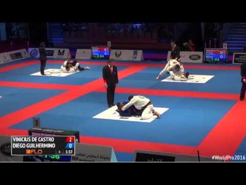 Vinicius De Castro Fight 1 AD2016