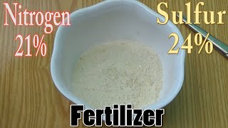 How To Use Ammonium Sulfate | Benefits of Nitrogen and Sulfur | When To Use Fertilizer | Garden Tips