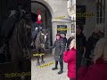 My Horse My Rules King S Guard Allows Her To Touch The Horse Short