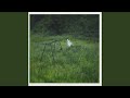 The Gold Phoebe Bridgers Version