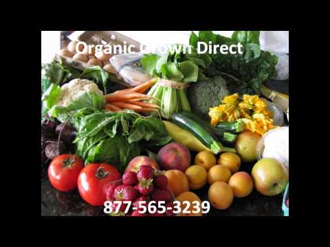 download lagu mp3 mp4 Buy Organic Vegetables Online, download lagu Buy Organic Vegetables Online gratis, unduh video klip Buy Organic Vegetables Online