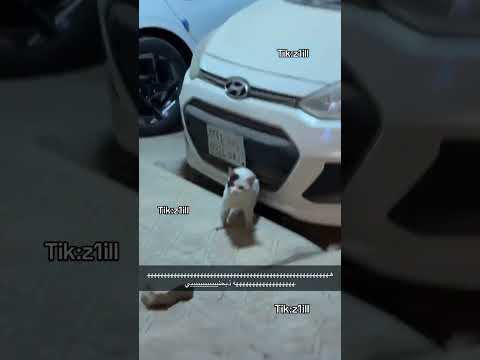 كود خصم نون NMN81