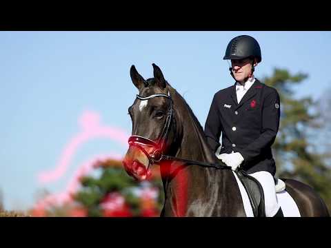 42 Eliseso Wallach v. Escolar - Dresemann