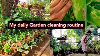 My daily Garden cleaning routine 🧹🌷 || How I maintain my Garden alone.