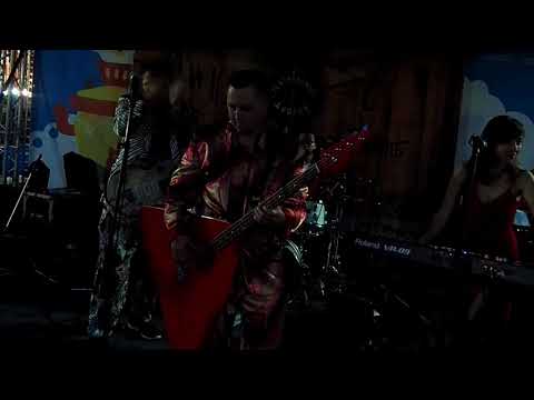 Red Elvises Closet Disco Dancer.