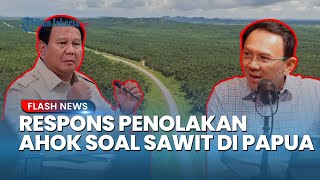Download lagu Ahok Tolak Sawit di Papua Dinilai Tak Masuk Akal, Polotikus PDIP: Ahok Muncul, Berarti Sudah Gawat mp3
