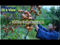 Beautiful Nature Short Videos Free Download Full HD Morning Nature Video Download