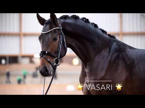 Vasari 14 TT Note 8,38