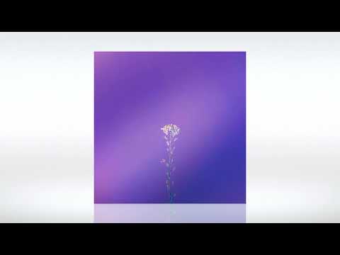 Matt Fax - High & Dry (Extended Mix) | Chromattic Music | Track of the Day (23/06/2023)