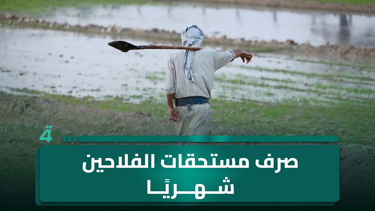 فيديو | النقل: تأمين ممرات جوية بديلة.. توجيه وزارة المالية بصرف مستحقات الفلاحين شهريًا