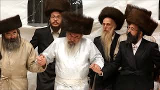 שמחות בית השואבה בבית שמש. לעלוב, תולדות אהרן וביאלה