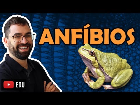 Amphibians - Class 29 - Module VI: Zoology | Prof. Gui
