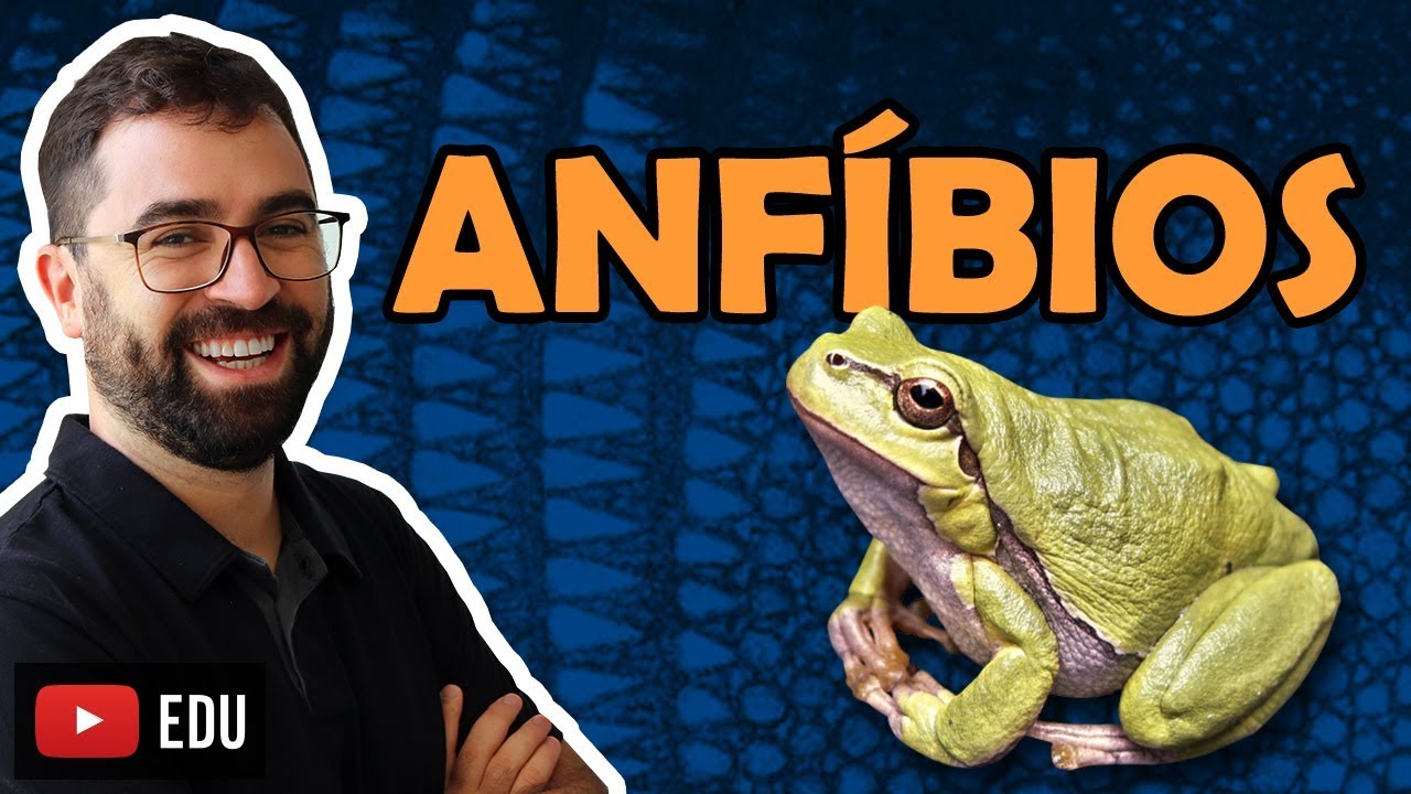 Anfíbios - Aula 29 - Módulo VI: Zoologia | Prof. Gui