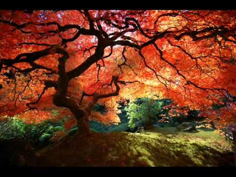 Fratii Sfara In Fata Ta