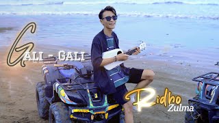 Download lagu RIDHO ZULMA - GALI-GALI JAN DIGALITIAK JUO mp3