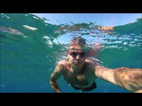 Sigala - Give Me Your Love ft. John Newman, Nile Rodgers