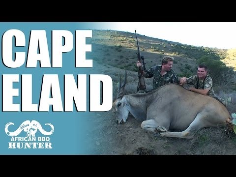 African BBQ Hunter – Eland in the Cape
