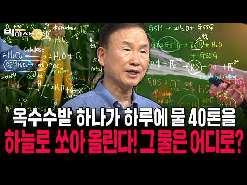 <인문학브런치 EP.92> 옥수수밭 하나가 하루에 물 40톤을 하늘로 쏘아 올린다! 그 물은 어디로 가는걸까?