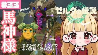 超自由探索！まさかの流れであの迷路に迷い込みました。#33【ゼルダの伝説 ティアーズ オブ ザ キングダム】