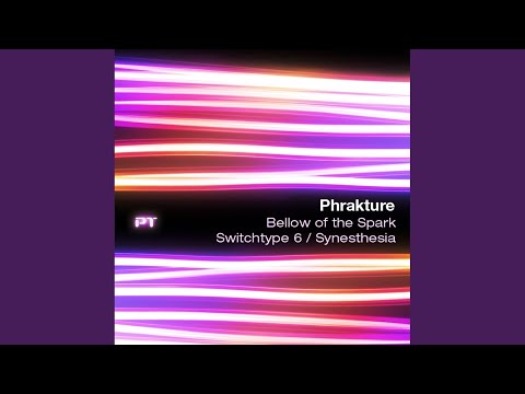 Synesthesia (Jerome Robins Remix)
