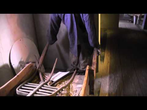 Vlotburg en man bijt hond