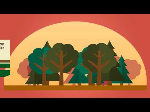 Our product sustainability & legality short story