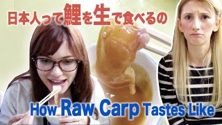 Eating Raw Carp Experience in Japan
