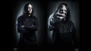 Pain - I'm going in (with lyrics)